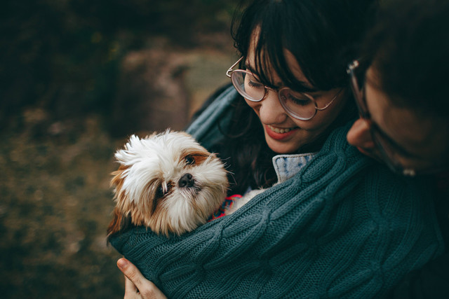 https://www.pexels.com/@wildlittlethingsphoto/ - cara adopsi anjing