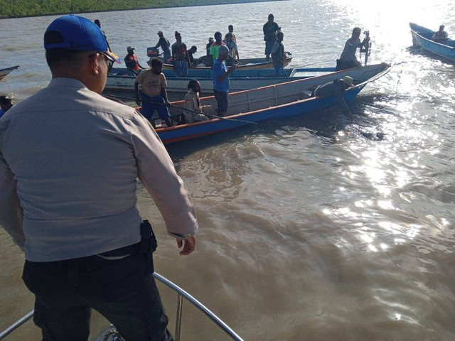 Warga berhasil menangkap buaya yang menerkam warga