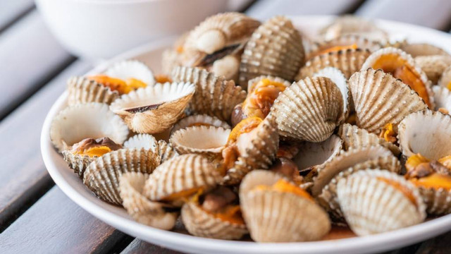 Ilustrasi Kerang Dara Asam Manis. Foto: Shutterstock