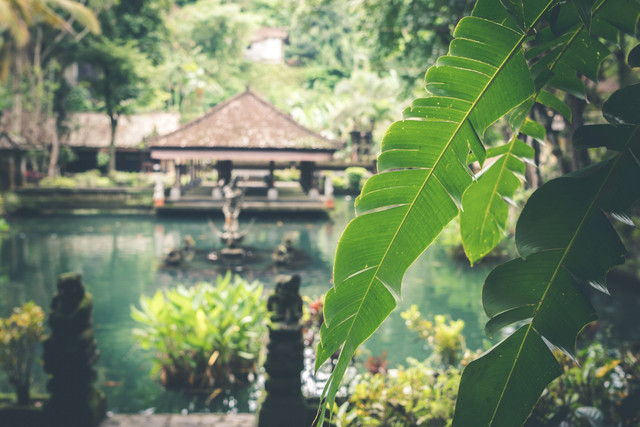 jadwal buka candi tebing gunung kawi dan harga tiket masuknya/Foto ini hanya ilustrasi dan bukan tempat aslinya/sumber : unsplash/artem beliaikin.