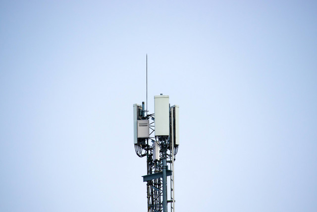 Ilustrasi cara memperbaiki jaringan 4G yang hilang. Foto: Dylan Carr/Unsplash