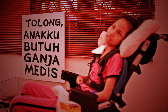 Lipsus Ganja Medis. Foto: Jamal Ramadhan/kumparan