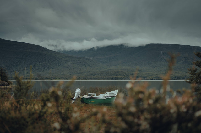 Ilustrasi Danau. Sumber: Pexels.com/Gaspar Zaldo