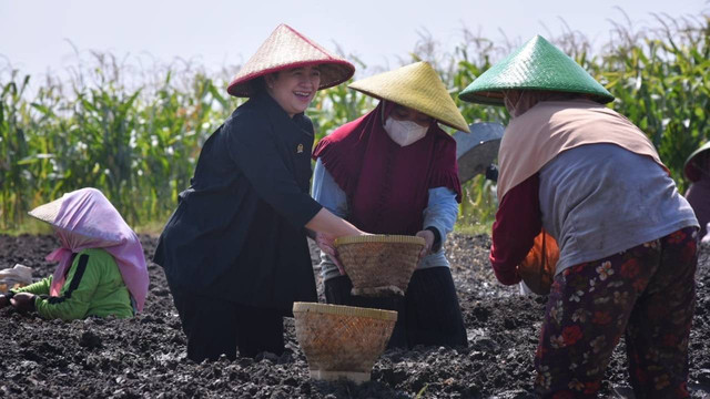Ketua DPR RI, Puan Maharani saat kunjungan kerja ke Brebes, Jawa Tengah, Selasa (5/7/2022). Foto: DPR