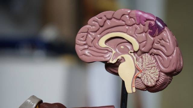 Ilustrasi jawaban Brain out untuk perintah atau pertanyaan selamatkan diri dari ruangan, sumber foto Robina Weermeijer on Unsplash