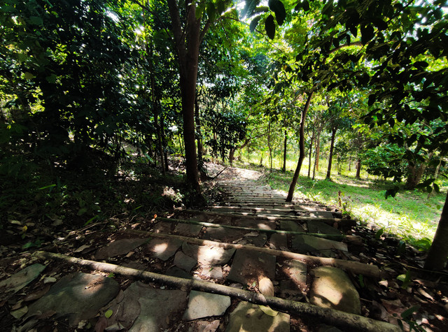 Harga Tiket Masuk Woodland Kuningan, Foto ini hanya ilustrasi dan bukan tempat aslinya. Sumber: Unsplash/Brian Fathurohman