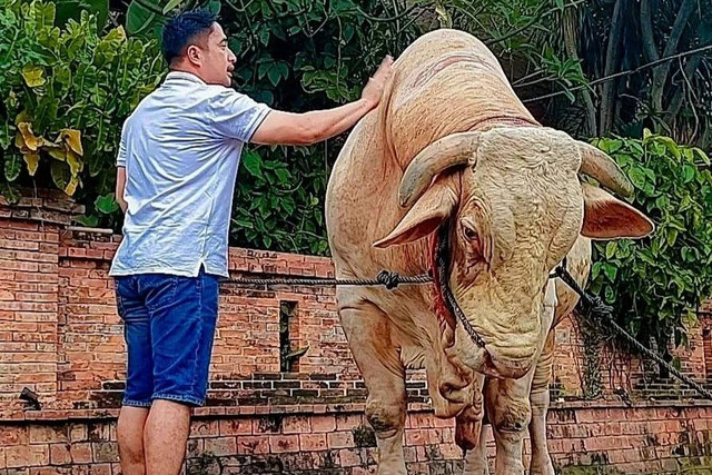 Irfan Hakim dan hewan kurbannya. Foto: Instagram/@irfanhakim75