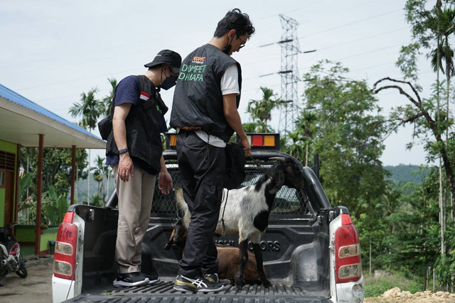 Sejak Jumat kemarin (8/7/2022), Tim Tebar Hewan Kurban (THK) Dompet Dhuafa Papua mulai melakukan distribusi ke titik-titik lokasi penyembelihan. Beberapa lokasi yang dituju adalah garis perbatasan paling timur Indonesia dengan Negara Papua Nugini (RI-PNG) Dok. Dompet Dhuafa