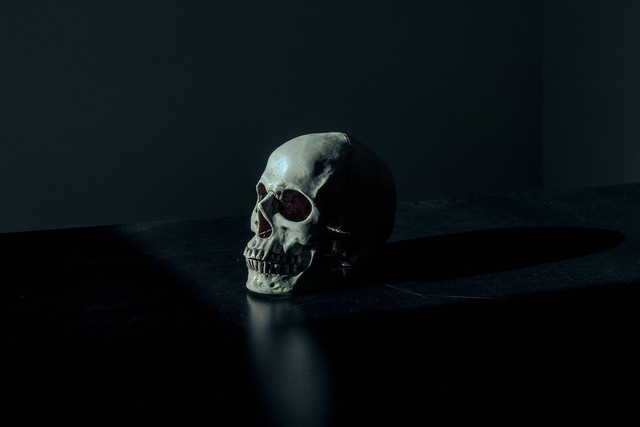 Ilustrasi hubungan antar tulang tengkorak termasuk sendi apa? sumber foto: (Mathew M.) by unsplash.com