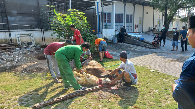 Sumber ; dokumentasi pribadi