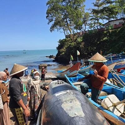 Dosen Pulang Kampung IPB University Telisik Potensi dan Peluang Ekspor Perikanan Kabupaten Kebumen
