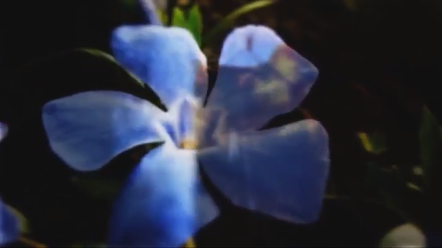 Cuplikan adegan dalam film Ambiance. Foto: Youtube Amp Jr