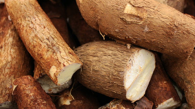 Ilustrasi singkong. Foto: Pexels