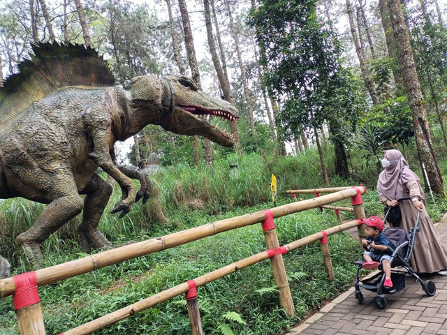 Salah satu wahana jenis Dinosaurus yang terdapat pada wisata Dinosaurus Park Mojosemi Magetan Jawa Timur/photo by : Dokpri
