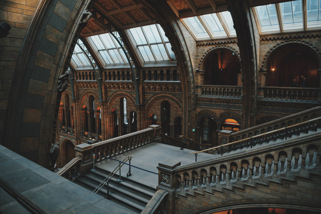 Rekomendasi Tempat Wisata Anak di London, Foto: Unsplash/Kaiyu Wang.