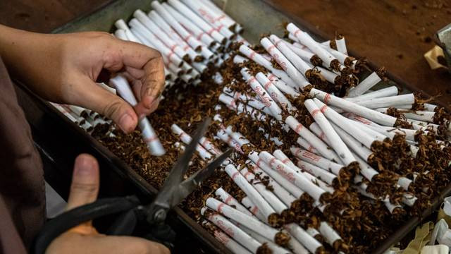 Pekerja menyortir rokok Sigaret Kretek Tangan (SKT) di pabrik rokok PT Praoe Lajar yang menempati bekas kantor perusahaan listrik swasta Belanda NV Maintz & Co, di kawasan Cagar Budaya Nasional Kota Lama Semarang, Jawa Tengah, Kamis (24/2/2022). Foto: Aji Styawan/ANTARA FOTO