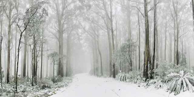 Apakah di Australia Ada Salju? https://unsplash.com/@longzheng