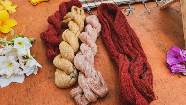 Benang-benang tenun Tobatenun yang diwarnai lewat proses pewarnaan alami di rumah pewarnaan Jabu Borna, Pematangsiantar, Sumut, pada Kamis (14/07/2022). Foto: Judith Aura/kumparan