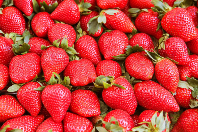 Ilustrasi Strawberry. Foto: Shutterstock