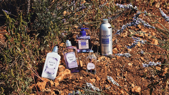 Rangkaian L'Occitane White Lavender. Foto: L'Occitane