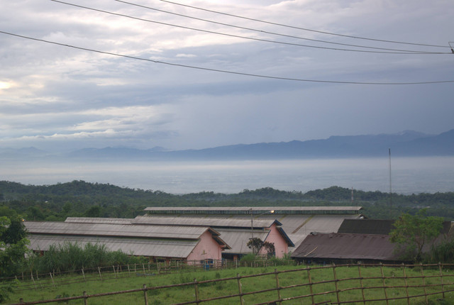 sumber : unsplash.com