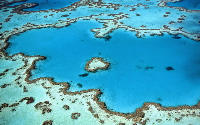6 Tempat Wisata di Australia yang Harus Dikunjungi, Foto: Unsplash/Yanguang Lan