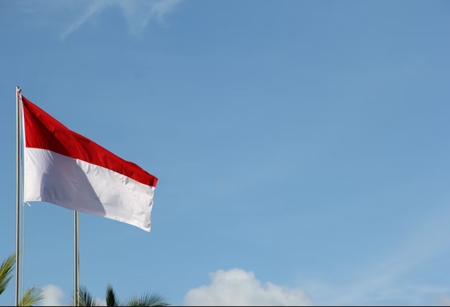 Ilustrasi rangkuman sejara Indonesia. Foto: unsplash.com/nickgunner