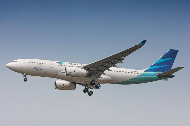 Garuda Indonesia https://pixabay.com/photos/20094