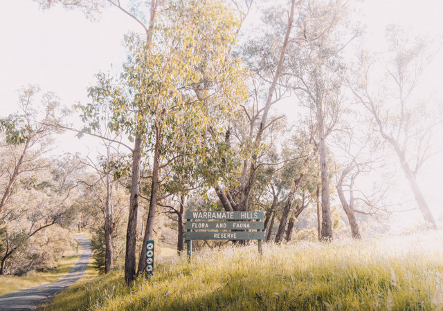 Ilustrasi gambar taman hiburan terbaik di Australia. Pexels/Pat