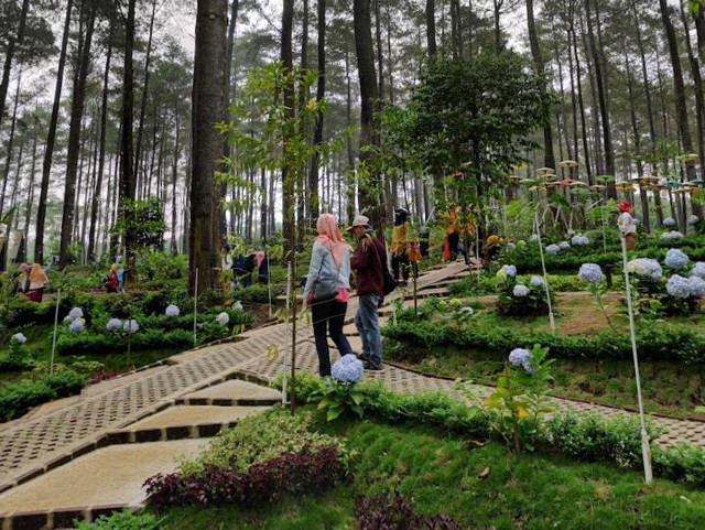 Rute ke Orchid Forest Lembang, Foto: Google Street View