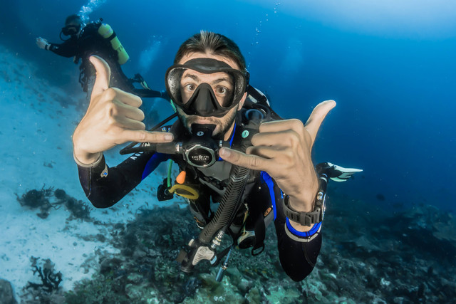 Cara Belajar Diving untuk Pemula yang Aman/Foto merupakan gambaran dari scuba diving. Sumber: Unsplash/Sebastian Pena Lambarri
