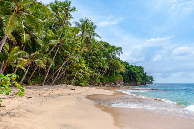 Pantai Terdekat dari Bandung, Foto: Unsplash/Rowan Heuvel 