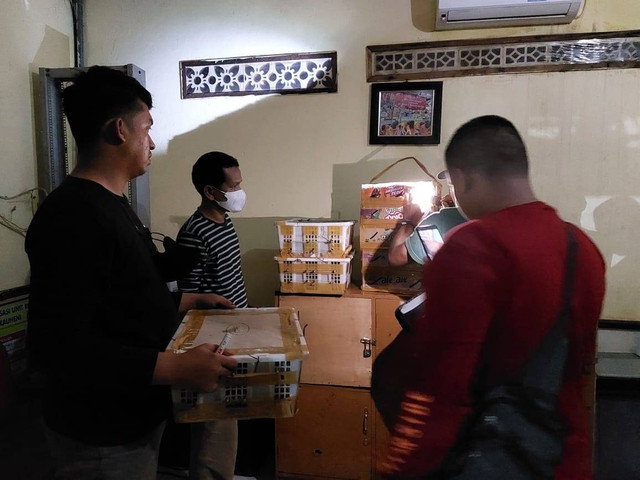 Penyeludupan ratusan burung ilegal berhasil di gagalkan. | Foto: Dok KSKP Bakauheni