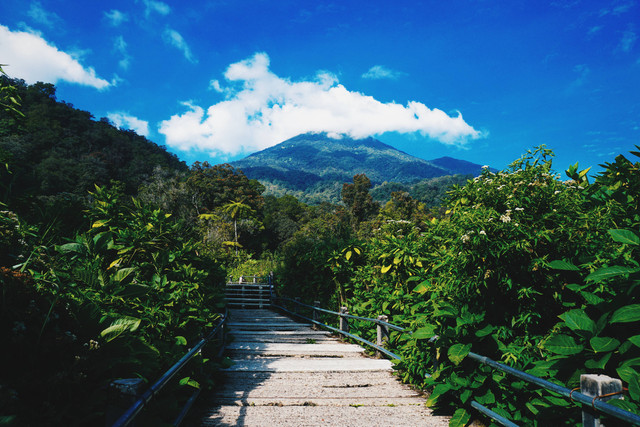 Rute dari Stasiun Bogor ke Cibodas, Foto ini hanya ilustrasi dan bukan tempat aslinya. Sumber: Unsplash/Ibadah Mimpi