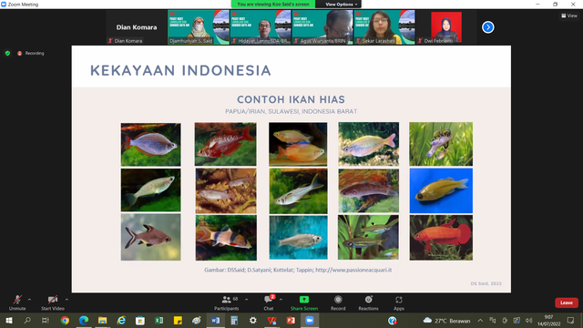 Contoh Ikan Hias Foto Pribadi