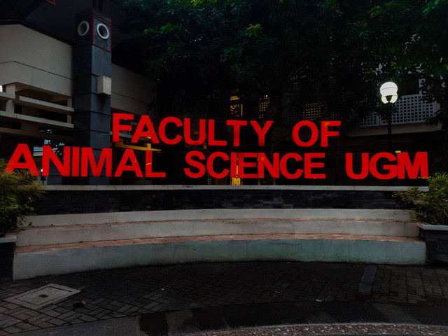 Cara ke ugm naik kereta, Photo by Lusia Komala Widiastuti on Unsplash