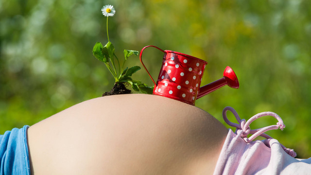 Ilustrasi Ibu Hamil Berkebun. Foto: Dora Zett/shutterstock