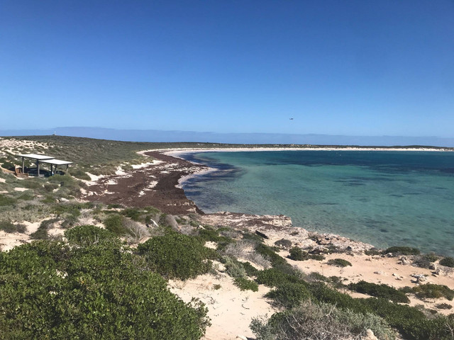 East Wallabi yang dulunya dihuni para survivor Kapal Batavia. Foto: Adhie Ichsan/kumparan