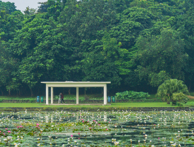 rekomendasi tempat jalan pagi di bogor. sumber foto : unsplash/rizky ramadhan.
