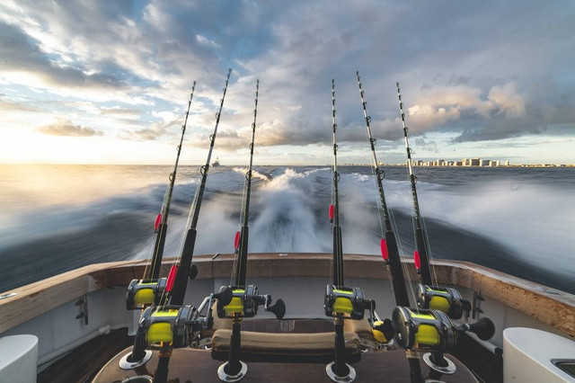 Umpan Mancing di Laut Terbaik  Sumber www.unsplash.com