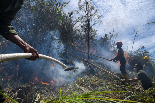Petugas gabungan dari Direktorat Sabhara Polda Sumatera Utara, KPH XIII Dolok Sanggul, KPH XIV Dairi dan KPH IV Toba berusaha memadamkan kebakaran hutan dan lahan (karhutla) di Desa Simulop, Pangururan, Samosir, Sumatera Utara, Senin (8/8/2022). Foto: Fransisco Carolio/ANTARA FOTO