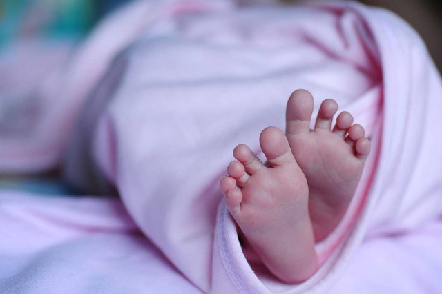 Ilustrasi bayi. Foto: Pixabay