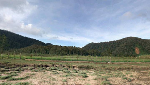 Bumi perkemahan ranca upas di artikel rekomendasi penginapan di ranca upas, Foto: Google street view	