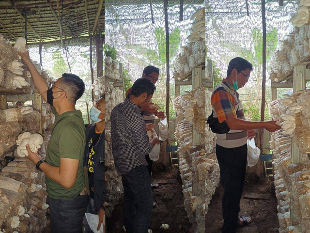 Dompet Dhuafa Sumsel yang melakukan assesment ke salah satu lokasi penerima manfaat di Kampung Sungai Pedado, Keramasan, Kota Palembang dalam rangka pembangunan Kampung Jamur binaan Dompet Dhuafa Sumsel. (Minggu, 31/07/2022). Dok. Dompet Dhuafa