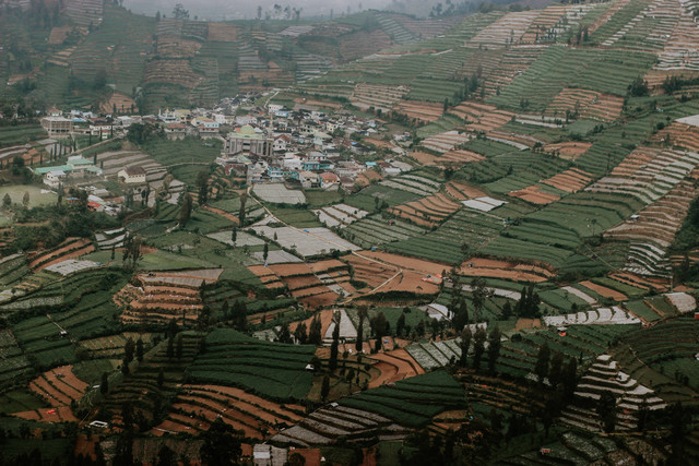 penginapan di dieng dengan view terbaik. sumber foto : unsplash/falaq lazuardi.