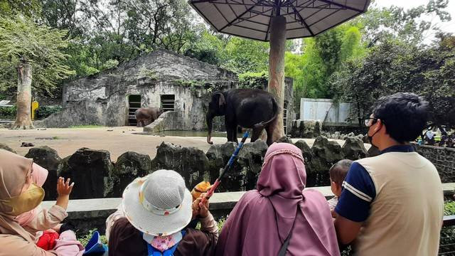 Wahana di Ragunan, Foto: Kumparan