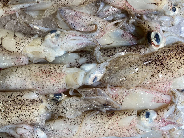 Ilustrasi contoh makanan yang diawetkan dengan cara jangka pendek adalah ikan asin, sumber foto: (CA Creative) by unsplash.com
