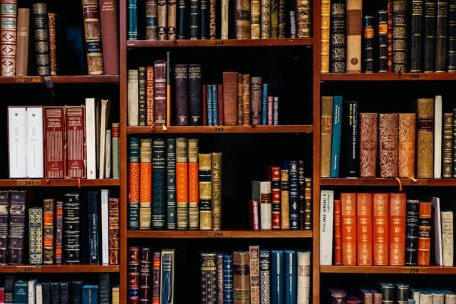 Cara Masuk Perpustakaan Taman Ismail Marzuki, Foto: Unsplash/Inaki Del Olmo.