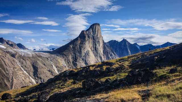  Ilustrasi Zona Alpine. Foto: Ed Dods/Shutterstock. 