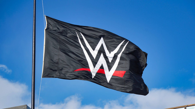 Ilustrasi WWE. Foto: Shutterstock